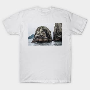 Sea Lions Island Rest T-Shirt